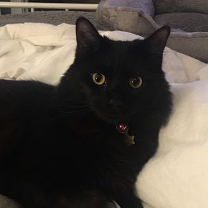 Meet your Posher, Rachel